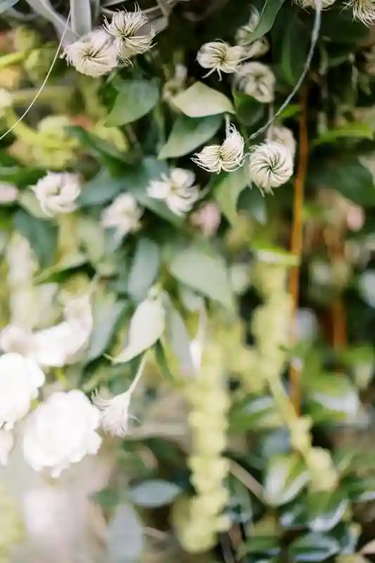 A Boho Wedding for Abby and David