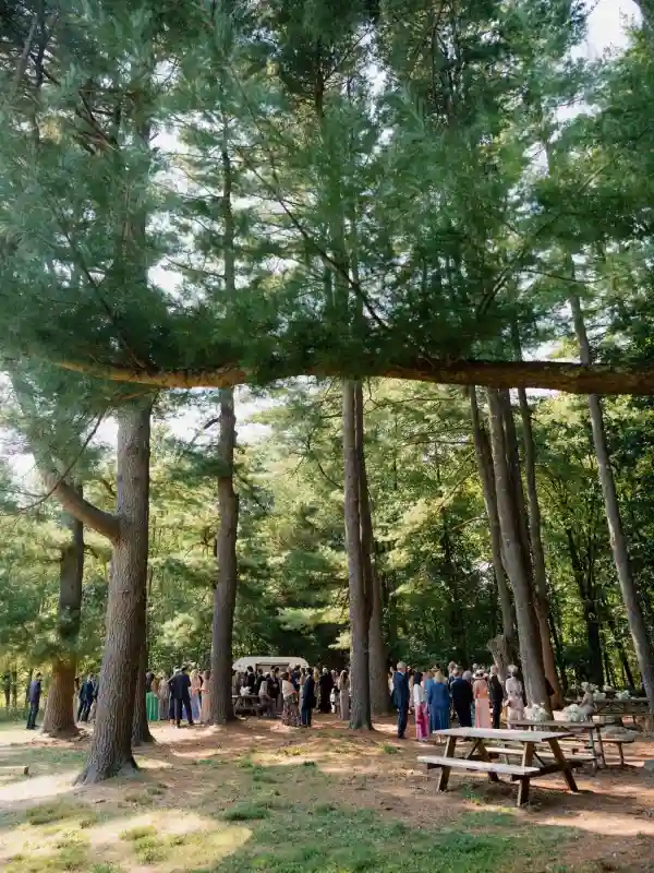 A Forest Wedding for Alexandra and Richard