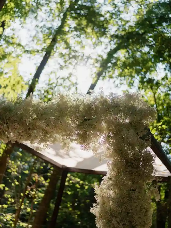 A Forest Wedding for Alexandra and Richard