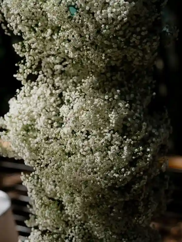 A Forest Wedding for Alexandra and Richard