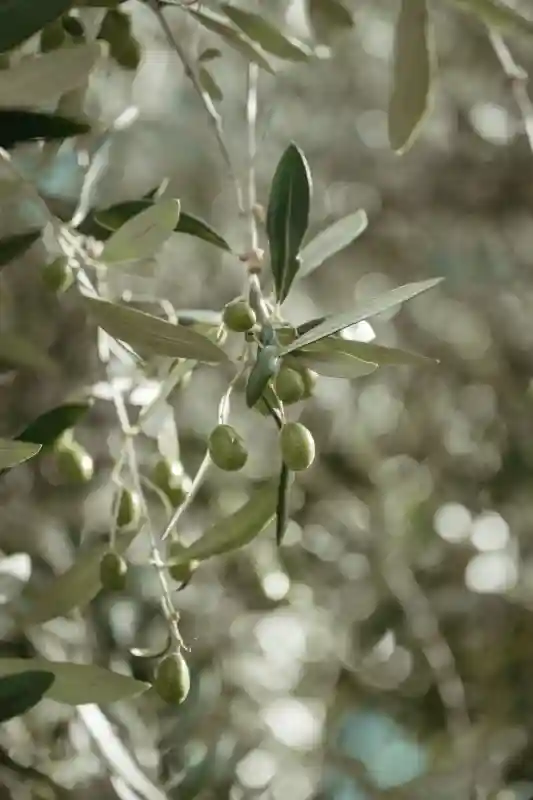 A Rustic Wedding for Ally and Austin 