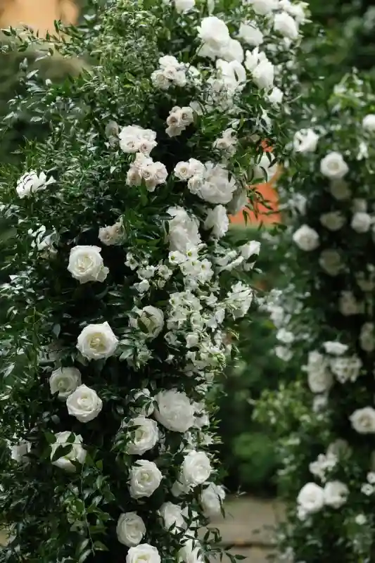 An Estate Wedding for Amanda and Mike