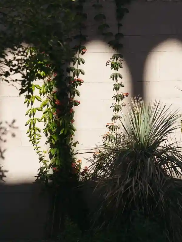 An Modern Wedding for Amanda and Jacob
