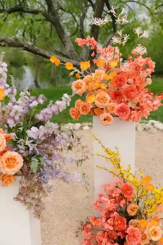 A Colorful Wedding for Celest and Elliott