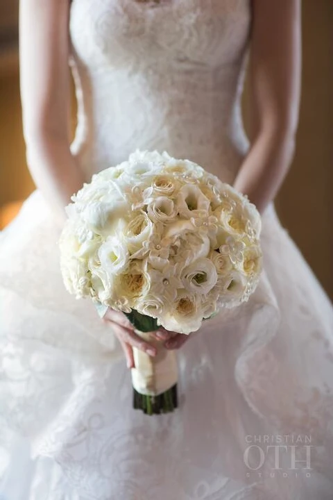 Ariston Flowers