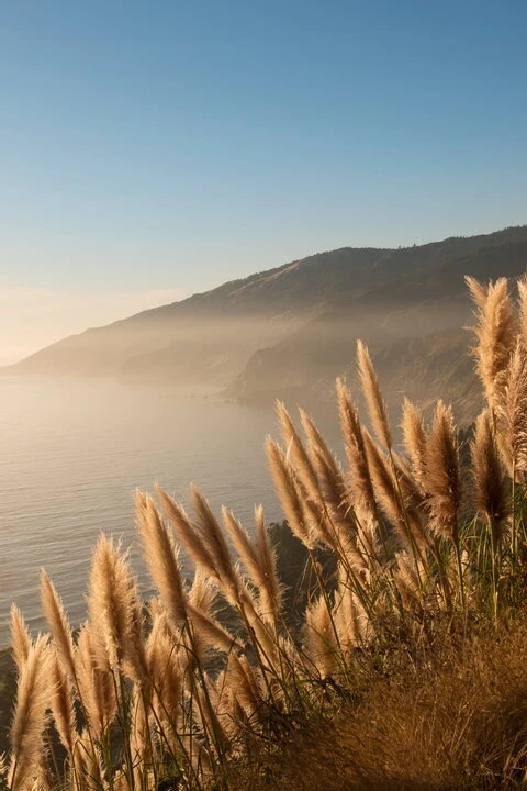 Alila Ventana Big Sur