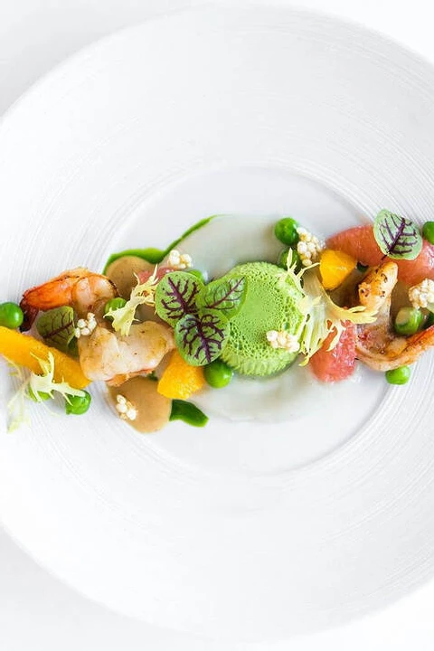 Design Cuisine