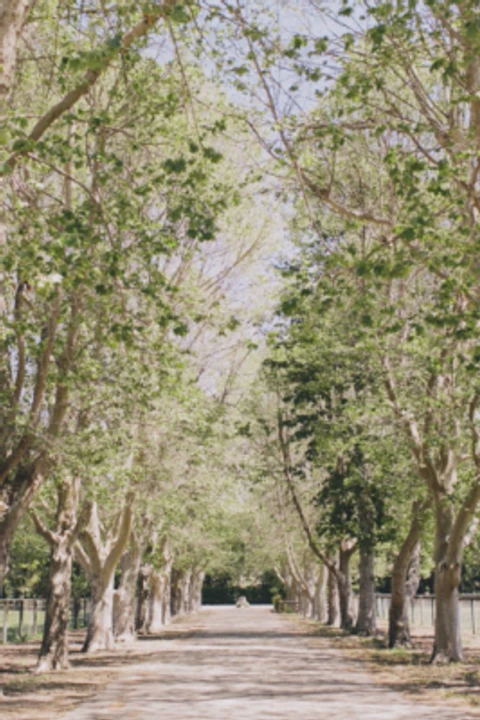 Whispering Rose Ranch