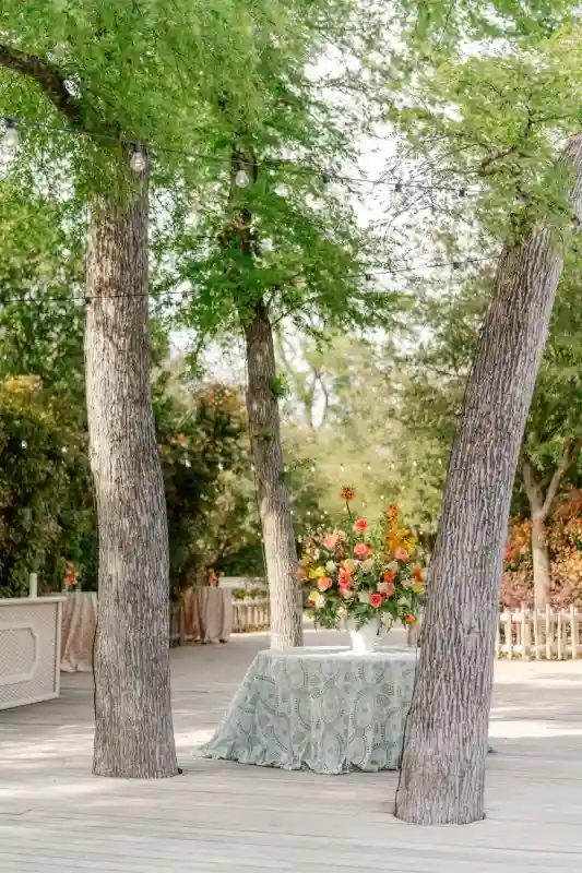 A Colorful Wedding for Katie and Chad