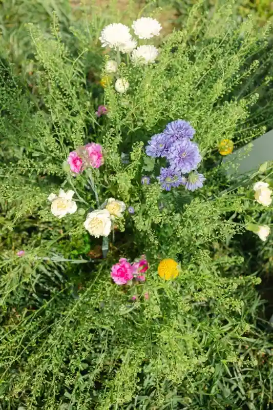 An Outdoor Wedding for Keren  and Adam
