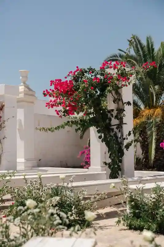 A Garden Wedding for Milena  and Alexandre 