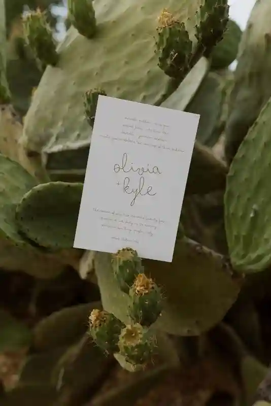 A Garden Wedding for Olivia and Kyle