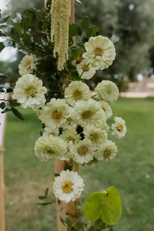 A Garden Wedding for Olivia and Kyle