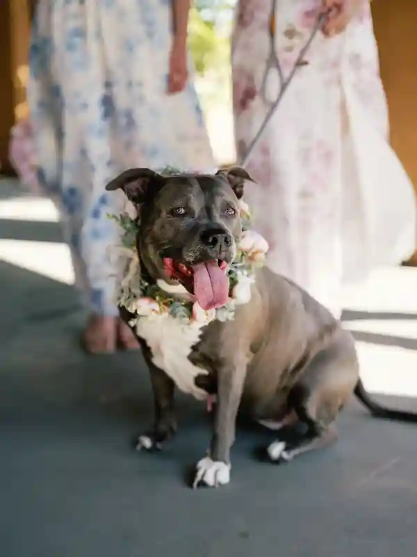 A Whimsical Wedding for Shirley and James