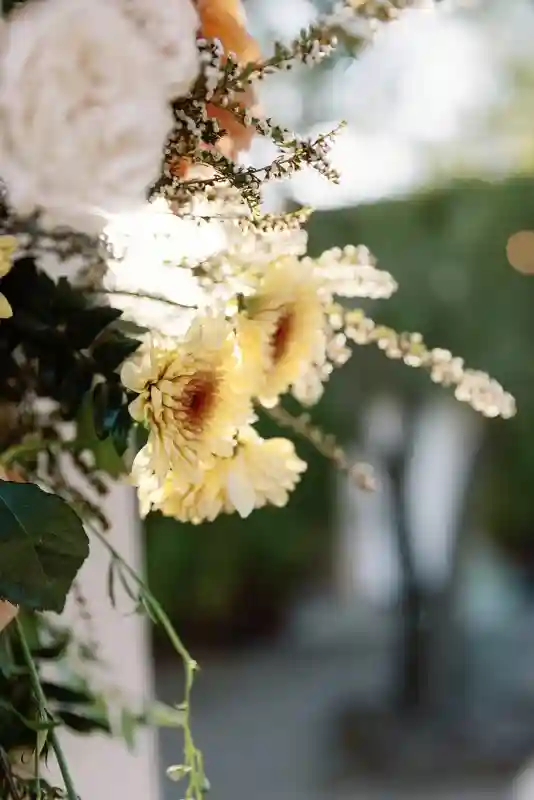A Whimsical Wedding for Shirley and James