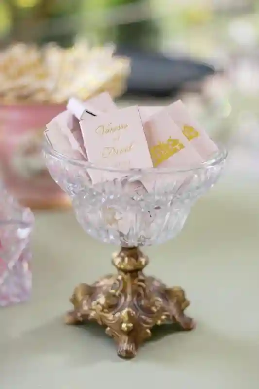 A Pink Wedding for Vanessa and David