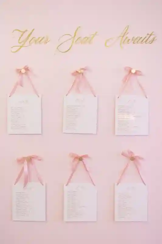 A Pink Wedding for Vanessa and David